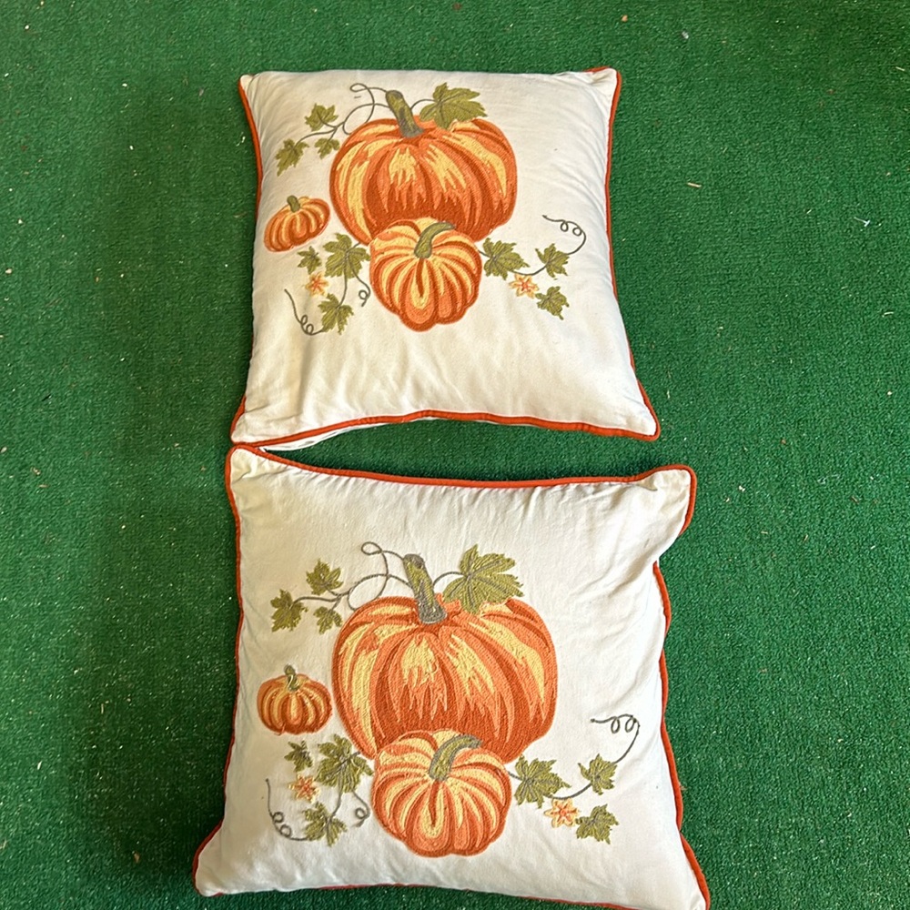 (2) Fall themed Pumpkin throw/couch pillows!